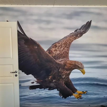 Aparthotel Rorbuer Båtsfjord