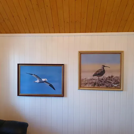 Rorbuer * Båtsfjord