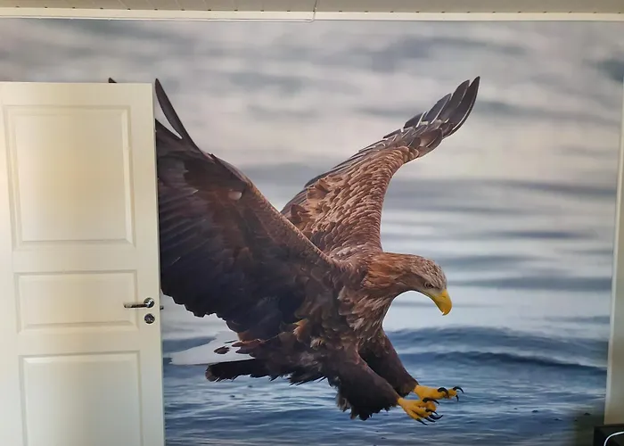 Apart-hotel Rorbuer Båtsfjord