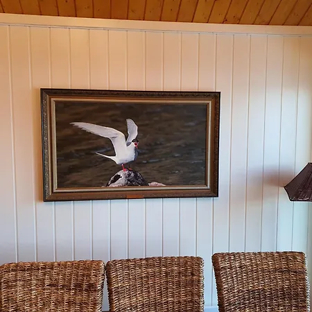 Rorbuer Båtsfjord